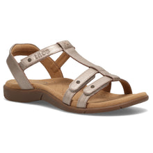 TAOS TROPHY - multiple colours